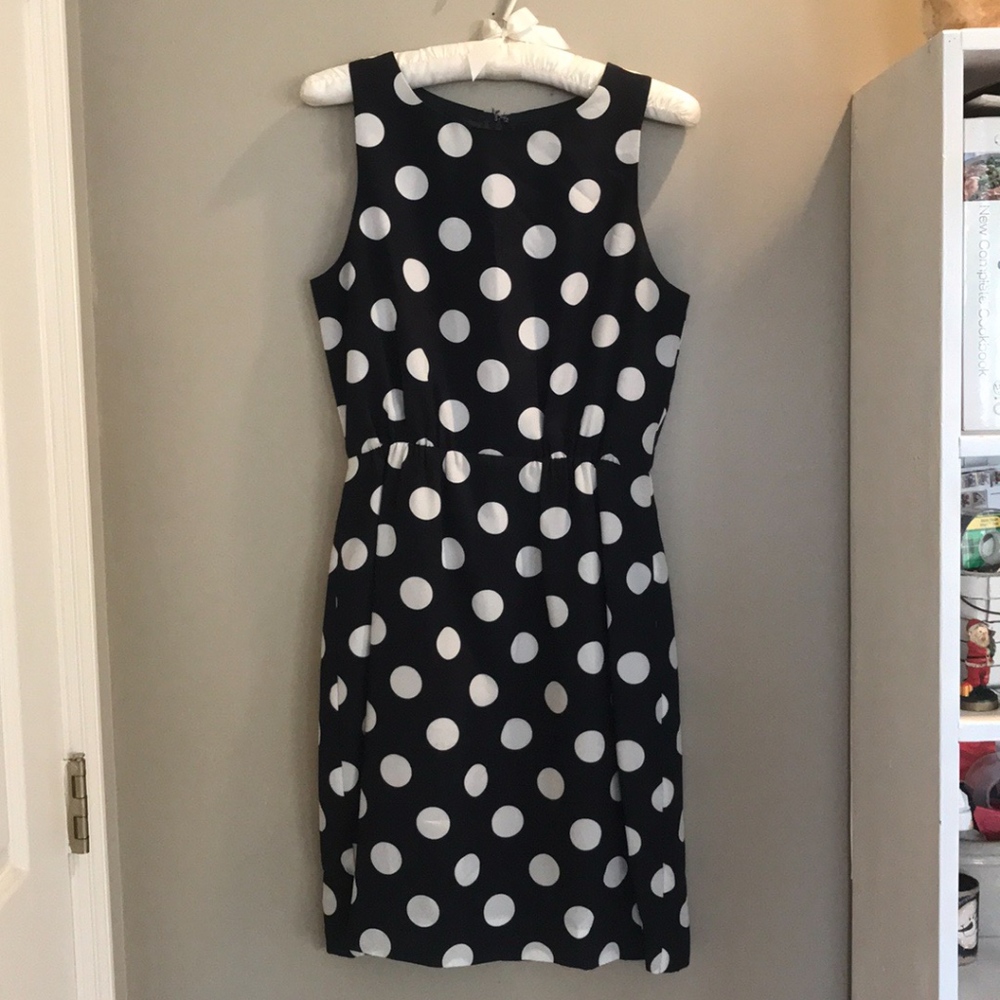 Polka Dot Dress